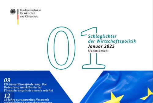 Schlaglichter der Wirtschaftspolitik – Ausgabe Januar 2025